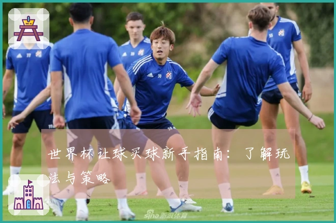 世界杯让球买球新手指南：了解玩法与策略