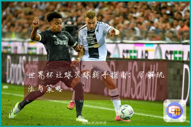世界杯让球买球新手指南：了解玩法与策略