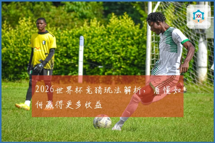 2026世界杯竞猜玩法解析，看懂如何赢得更多收益