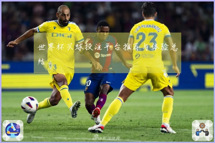 世界杯买球投注平台推荐与体验总结