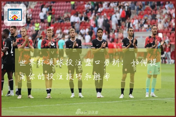 世界杯滚球投注盘口分析：如何提高你的投注技巧和胜率