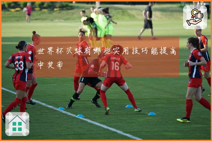 世界杯买球有哪些实用技巧能提高中奖率