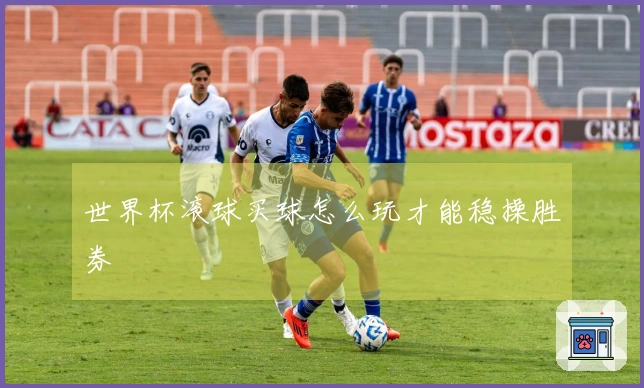 世界杯滚球买球怎么玩才能稳操胜券