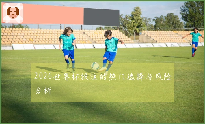 2026世界杯投注的热门选择与风险分析