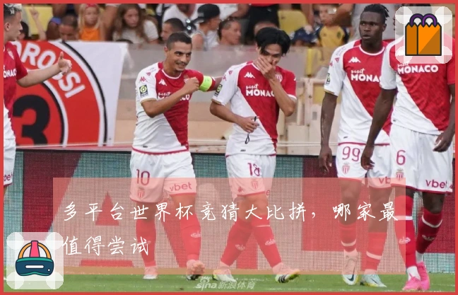 多平台世界杯竞猜大比拼，哪家最值得尝试