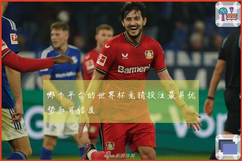 哪个平台的世界杯竞猜投注最具优势和可信度