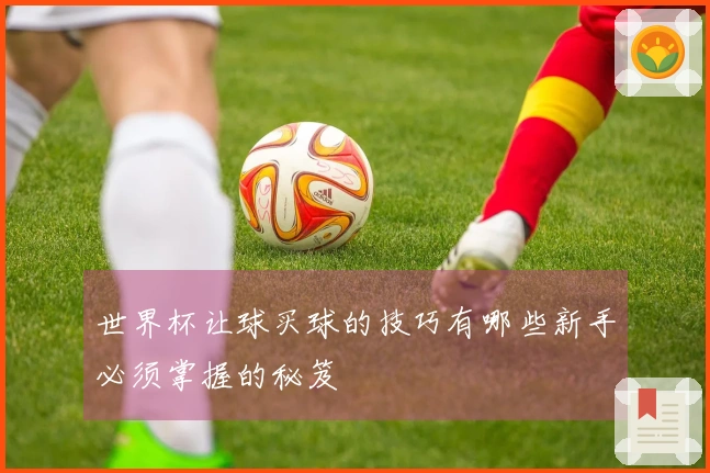 世界杯让球买球的技巧有哪些新手必须掌握的秘笈