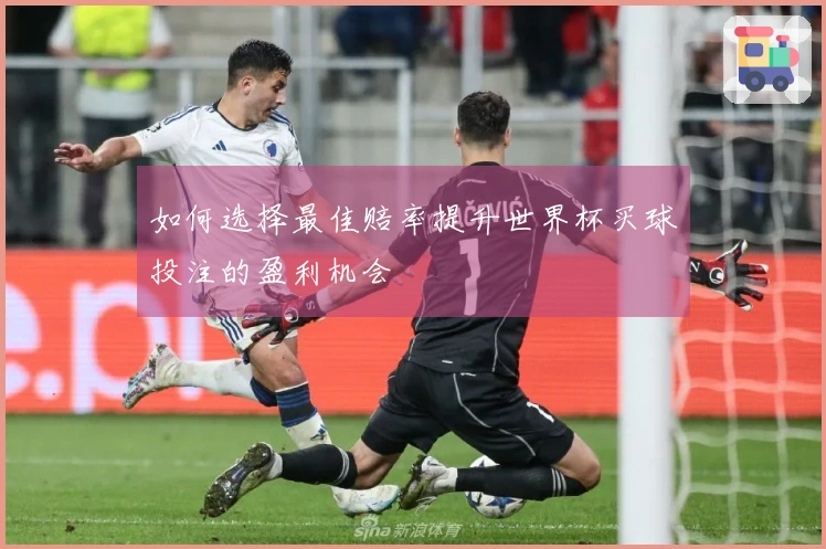 如何选择最佳赔率提升世界杯买球投注的盈利机会