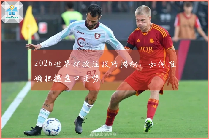 2026世界杯投注技巧揭秘，如何准确把握盘口走势