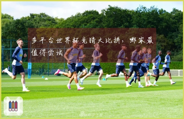 多平台世界杯竞猜大比拼，哪家最值得尝试