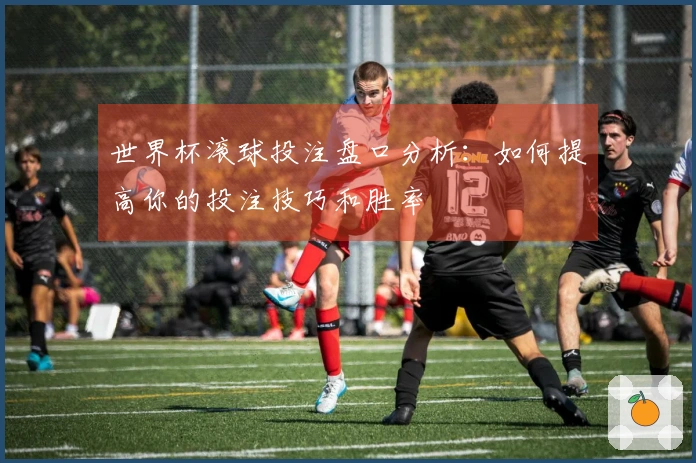 世界杯滚球投注盘口分析：如何提高你的投注技巧和胜率